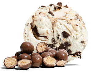 Malt Madness luxury Ice Cream 5ltr