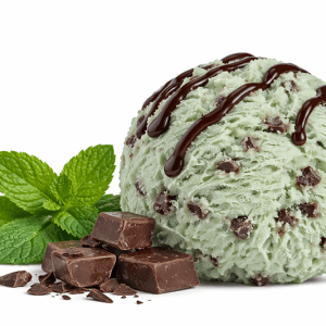 Mint Choc Chip Luxury Ice Cream 5ltr