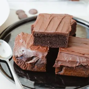 Chocolate pudding slab