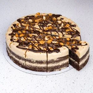 Chocolate Peanut Butter Cake